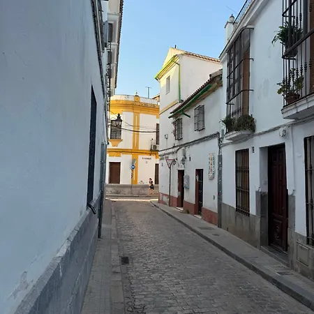 Patio De La Taberna 코르도바